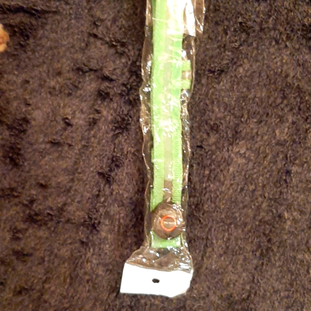 Luminous dog collar 1green